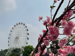 -观澜湖生态运动公社