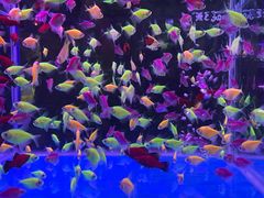 -三旗百汇商品城