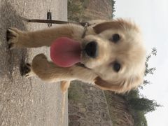 -五龙城郊森林公园