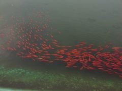 -南通洲际绿博园