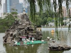 -团结湖公园