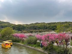 -苏州上方山国家森林公园