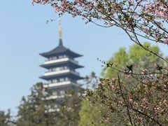 -宜兴龙背山森林公园