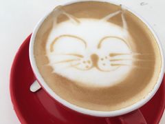 -Anne猫窝咖啡屋