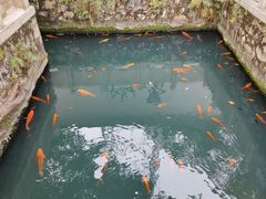 -墨池公园