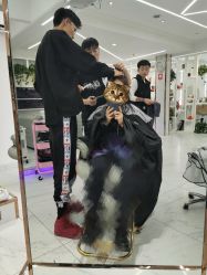 -小齐发型Star~salon