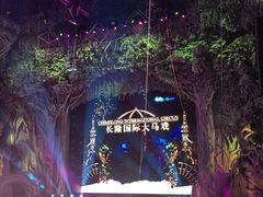 -广州长隆国际大马戏
