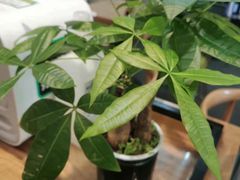 -过桥缘·过桥米线(西冶街店)