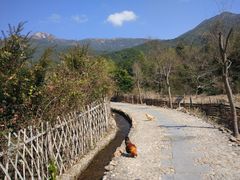 -梁野山景区