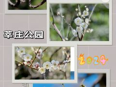 -莘庄公园