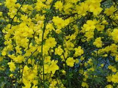 -沙河三洞古桥公园