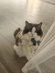 -闺蜜瑜伽·普拉提女性塑形馆