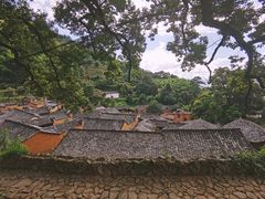 -杨家堂村