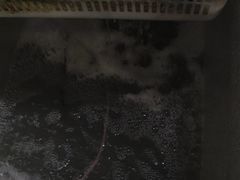 -金三可市井水煮鱼(金碧园店)