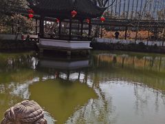 -上海醉白池公园