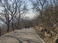 -紫金山山顶公园