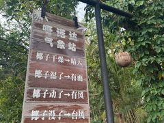 -呀诺达热带雨林