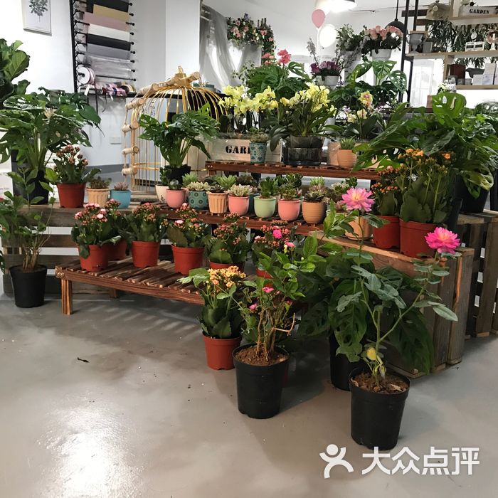 starring flower and academy 主角花店花艺工作室图片-北京花店-大众