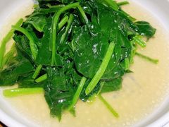 酒香菠菜-南小馆(迪士尼小镇店)