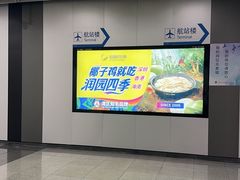 -润园四季椰子鸡火锅(南山海岸城店)