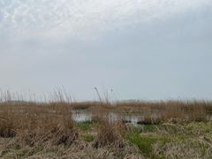 -苏州吴中太湖旅游区