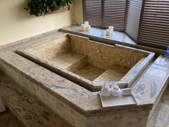 -春晖园度假酒店温泉