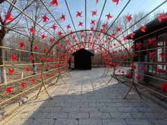 -西青郊野公园