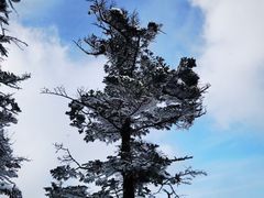 -秦岭风景区