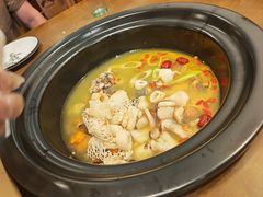 -菌乡缘·野生菌蒸汽鱼火锅(江边夜市店)