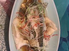 -恬阿姨庭院餐厅·生日宴