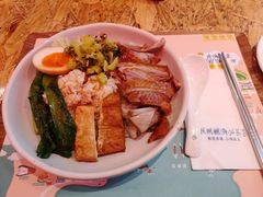 金奖卤鹅肉饭-陈鹏鹏潮汕菜(宝安机场T3航站楼店)