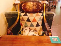 -猫色咖啡·猫咖