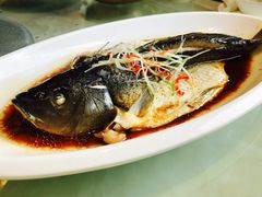 -玉雪春天(中正花园店)