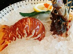 龙虾刺身-Mr·Fish鱼鲜生海鲜放题(银泰in99店)