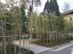 -T80科技文化国际社区-停车场