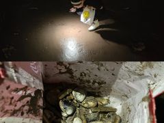 -八大关景区