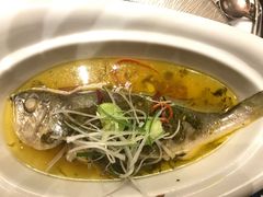 雪菜小黄鱼-常州新城希尔顿酒店-御玺中餐厅