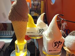 -野人先生现做冰淇淋(北京王府井东方新天地店)