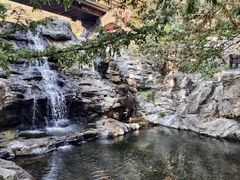 -国家植物园南园