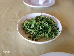 蒜蓉豆苗-真浪花园海鲜餐馆