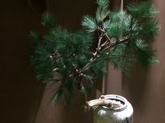 水林间(仙林金鹰店)-水林间·寿喜烧自助(仙林金鹰大学城店)