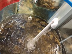-仙螺岛海鲜自助餐厅(总店)