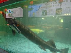 -年辉渔村·非遗传承餐厅(新丰江店)