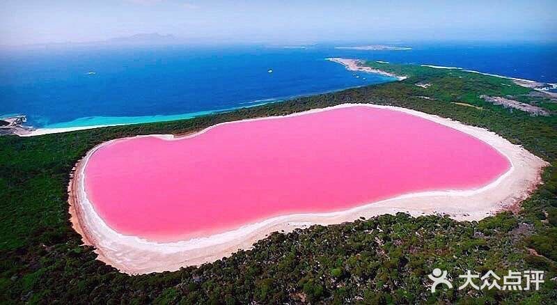搭乘小型飞机,沿着海岸线飞行不远