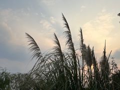 -上海杨姆庄园