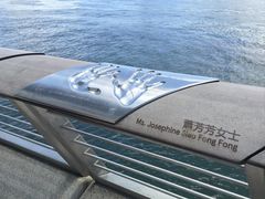-星光大道