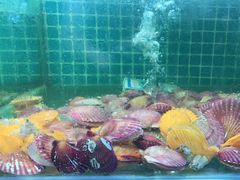 -三亚相缘海鲜·烧烤·糟粕醋(三亚湾店)