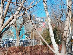-家乐福(四元桥购物中心店)