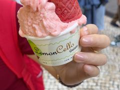 -柠檬车露(卖草地店)