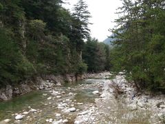 -黑河国家森林公园